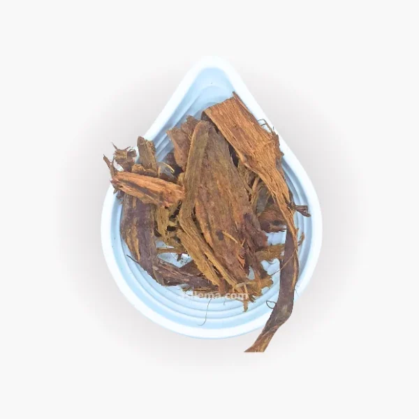 Ecorce de noyer 20g – سواك