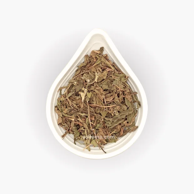 Menthe 25g – نعناع