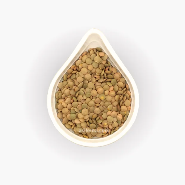 Lentilles vertes 250g -عدس اخضر