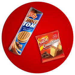 Biscuit